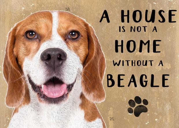 A House is not a Home without a Beagle Dog Metal Sign