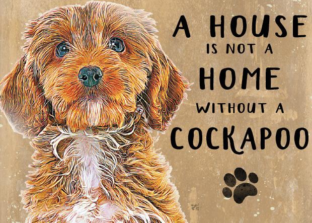 House is not a Home without a Cockapoo Metal Sign