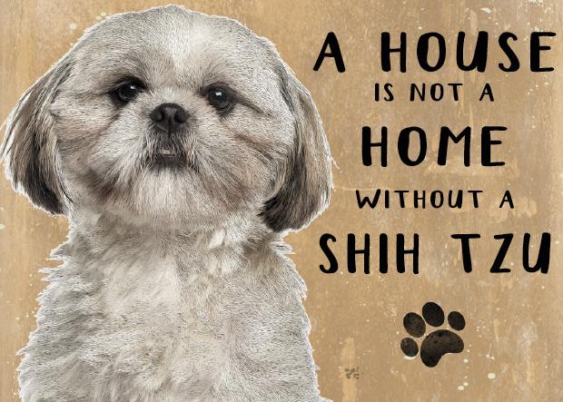 A house is not a home without a best sale dog