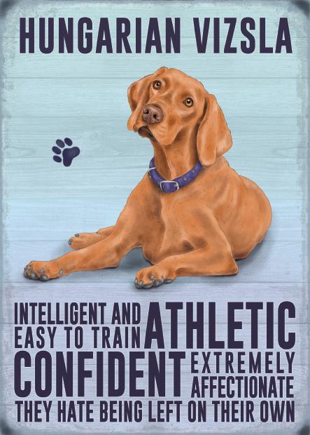 Hungarian Vizsla Metal Sign