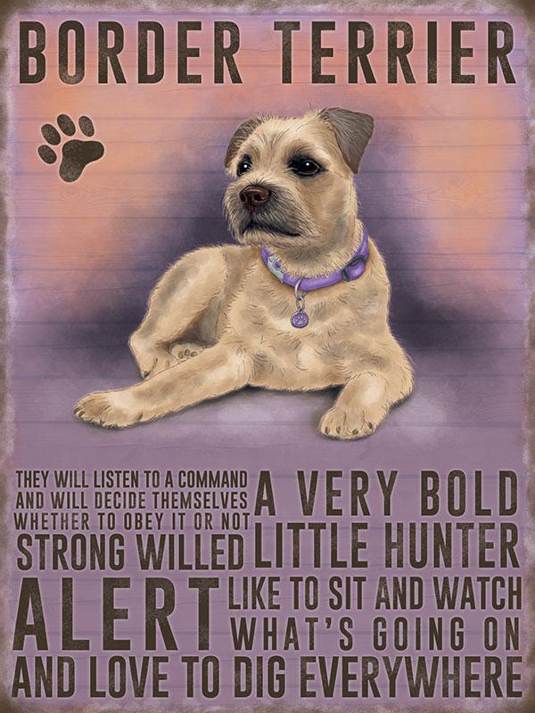 Border Terrier Metal Sign