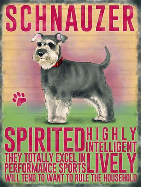 Schnauzer Dog Metal Sign