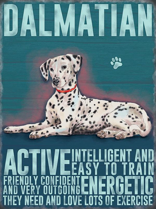 Dalmation Dog Metal Sign