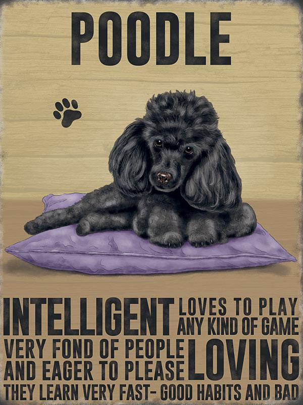 Black Poodle Metal Sign