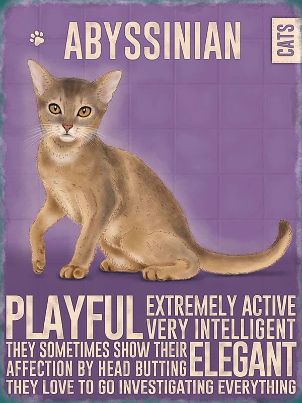 Abyssinian Cat Metal Sign