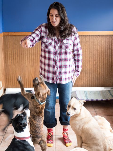 Image of Boss Lady W-Ankle Socks BLUEQ