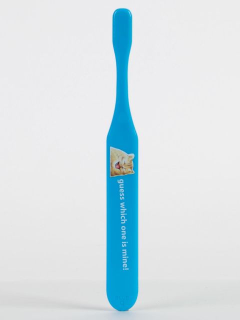 BlueQ "Cat Butt." Toothbrush