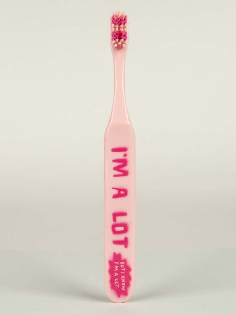 BlueQ "I'm A Lot But I Know I'm A Lot." Toothbrush