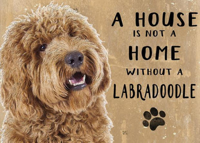 A House is not a Home without a Labradoodle Yellow Color Metal Sign