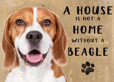 A House is not a Home without a  Beagle Dog Metal Sign
