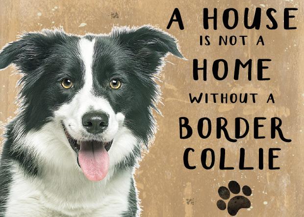 A House is not a Home without a Border Collie  Metal Sign
