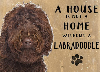 A House is not a Home without a Labradoodle Brown Color Metal Sign