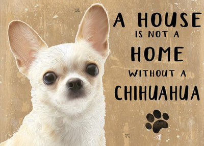 A House is not a Home witout a Chihuahua Metal Sign