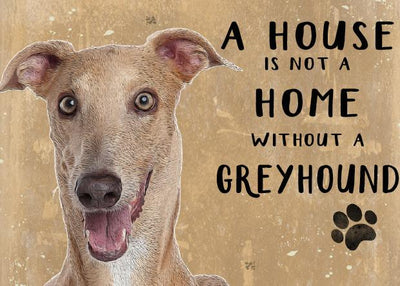 A House is not a Home without a Greyhound Dog Metal Sign