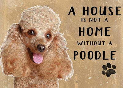 A house Without A Poodle Metal Sign