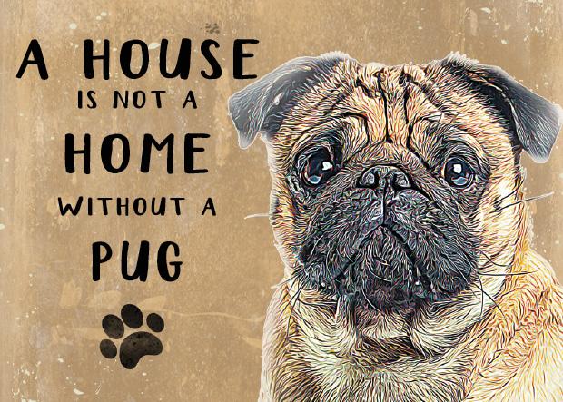 A House is not a Home without a Pug Dog Metal Sign