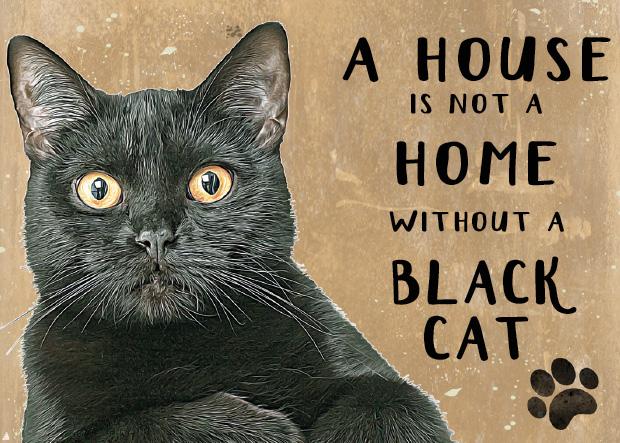 Black Moggies Cat Metal Sign