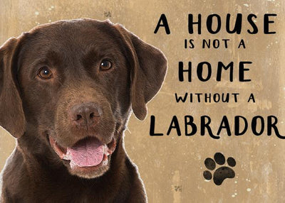 A House is not a Home without a Chocolate Labrador Metal Sign
