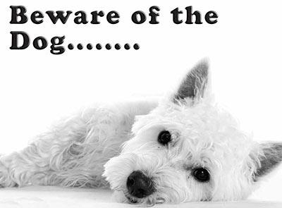 Beware of the Dog West Highland Terrier Metal Sign