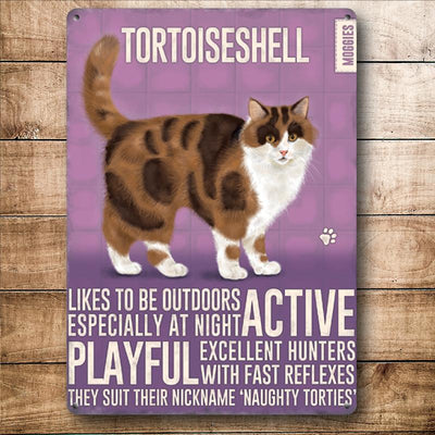 Tortoiseshell Moggies Cat Metal Sign