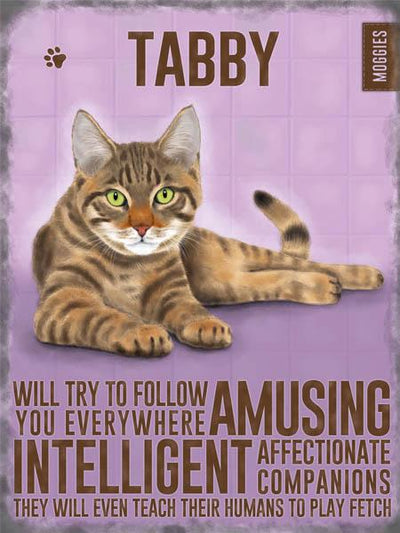 Tabby Moggie Cat Metal Sign