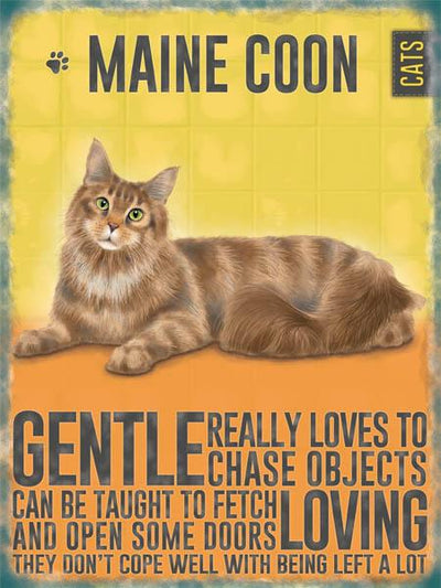 Maine Coon Cat Metal Sign