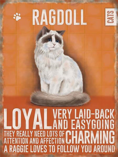 Ragdoll Cat Metal Sign