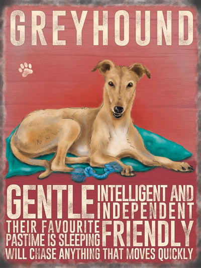 Greyhound Cream Color Metal Sign