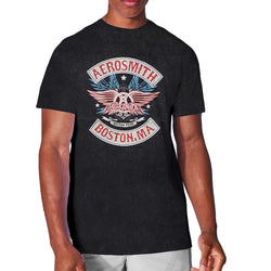 Image of Aerosmith Unisex T-shirt - Boston Pride