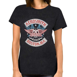 Image of Aerosmith Unisex T-shirt - Boston Pride