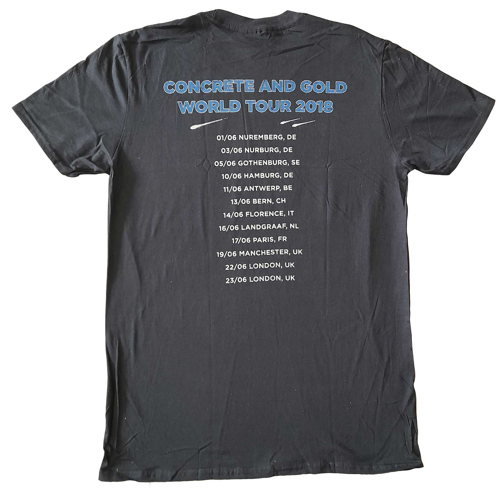 Image of Foo Fighters T-Shirt - Back Print Amplified