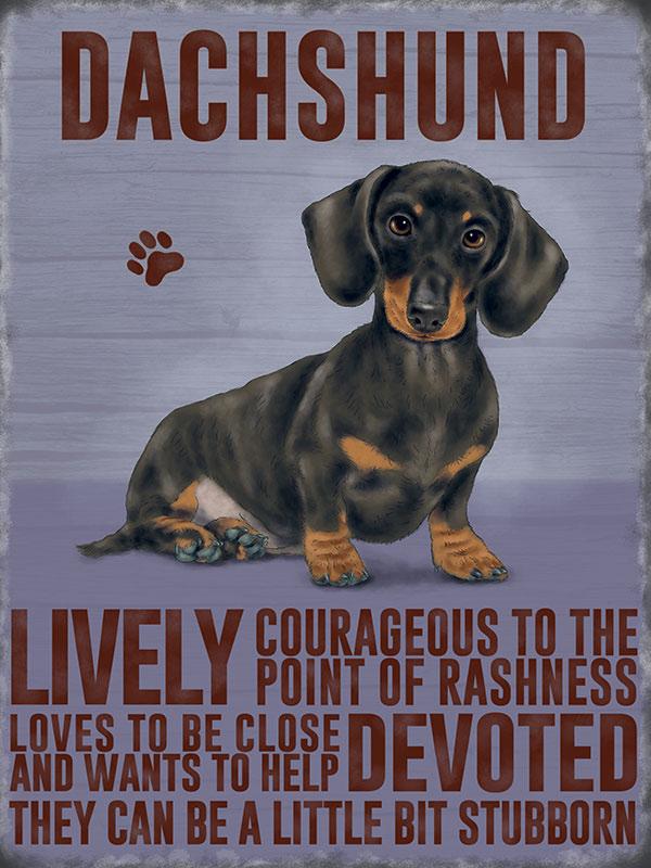 Dachsund Dog Metal Sign