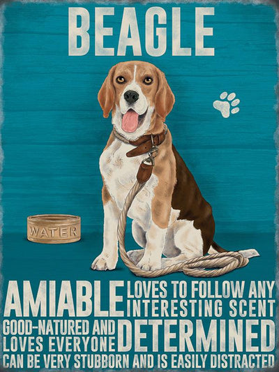 Beagle Metal Sign