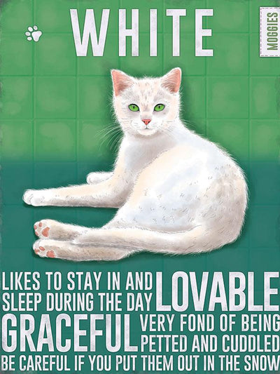 White Moggies Cat Metal Sign
