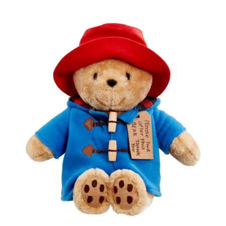 Image of Cuddly Classic Paddington Bear